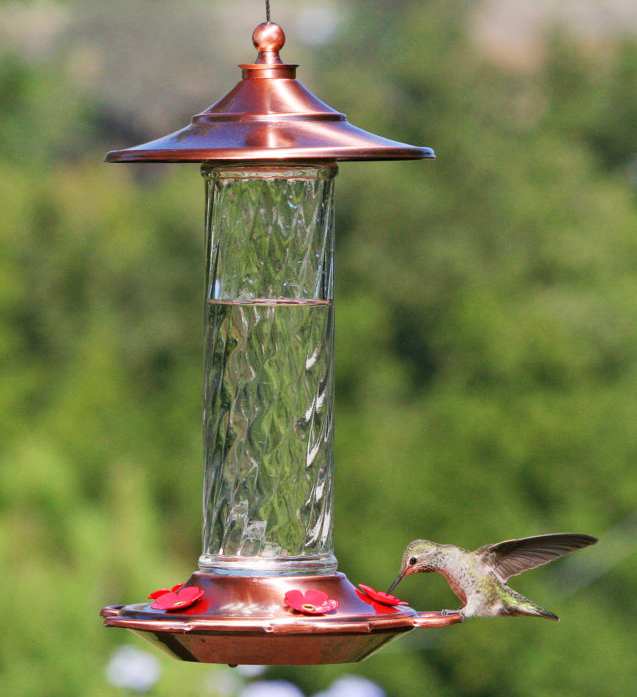 Glory Hummingbird Feeder